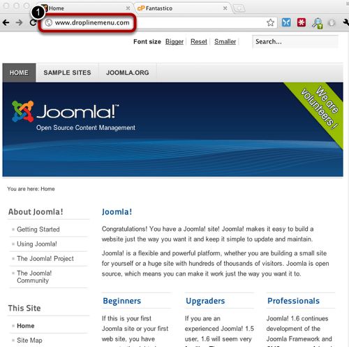 Step_6_Verify_your_new_Joomla_site.jpg